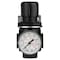 Porter-Cable Regulator with Gauge 1/4" NPT PXCM019-0351 - alternate 1